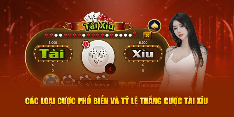 Các loại cược phổ biến và tỷ lệ thắng cược tài xỉu